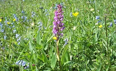 Antigua Casa Catones en Lascuarre (Huesca) - Foto 12