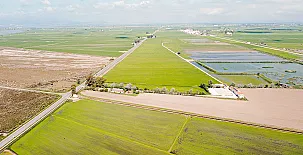 Apartamento Calito del Delta 003