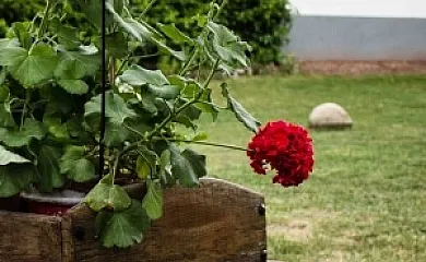 Casa Jarque en Cedrillas (Teruel) - Foto 4