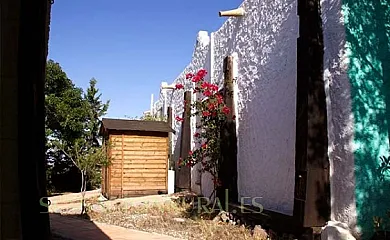 Campo Feliz Cabo de Gata en Boca de los Frailes (Almería) - Foto 11