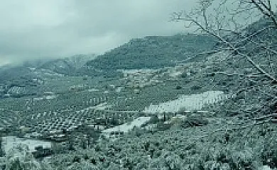 Alojamientos Rurales La Higuerilla Sierra de Cazorla en Burunchel (Jaén) - Foto 11
