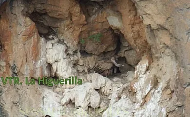 Alojamientos Rurales La Higuerilla Sierra de Cazorla en Burunchel (Jaén) - Foto 12
