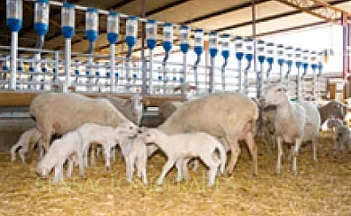 Bardenas Park en Figarol (Navarra) - Foto 11