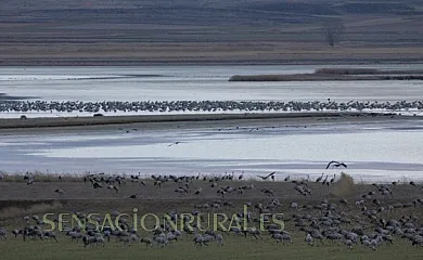 Casa La Buhardilla en Gallocanta (Zaragoza) - Foto 6
