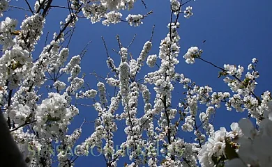 Casa Rural Arroal en Sotoserrano (Salamanca) - Foto 22