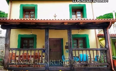 La Pumarada de Limés en Cangas del Narcea (Asturias) - Foto 1