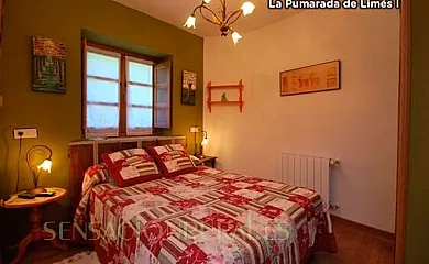 La Pumarada de Limés en Cangas del Narcea (Asturias) - Foto 2