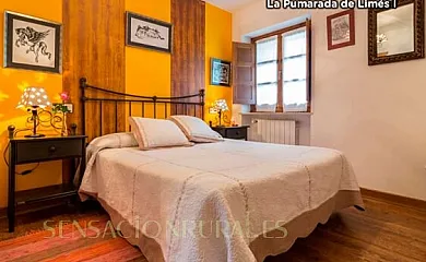 La Pumarada de Limés en Cangas del Narcea (Asturias) - Foto 3