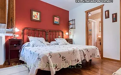 La Pumarada de Limés en Cangas del Narcea (Asturias) - Foto 5