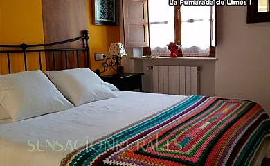 La Pumarada de Limés en Cangas del Narcea (Asturias) - Foto 6