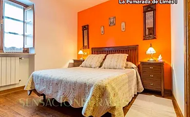 La Pumarada de Limés en Cangas del Narcea (Asturias) - Foto 7