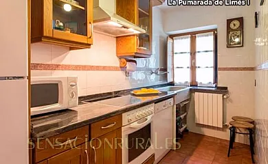 La Pumarada de Limés en Cangas del Narcea (Asturias) - Foto 9