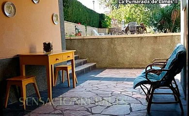 La Pumarada de Limés en Cangas del Narcea (Asturias) - Foto 11