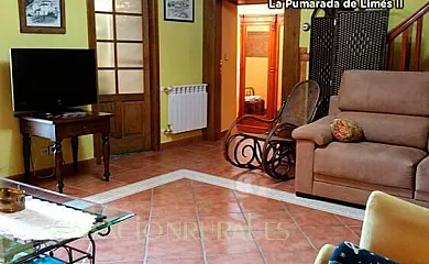 La Pumarada de Limés en Cangas del Narcea (Asturias) - Foto 17