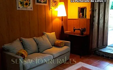 La Pumarada de Limés en Cangas del Narcea (Asturias) - Foto 19